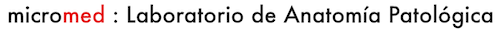 Micromed Ltda.